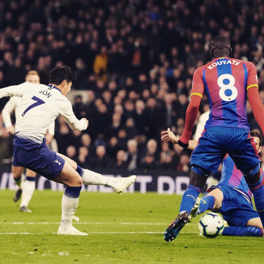 却是向他的 却是向他的